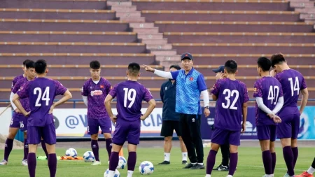 dt viet nam tap