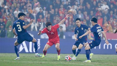 dt viet nam 21