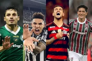 palmeiras botafogo flamengo fluminense