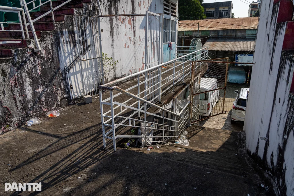 svdthongnhattphcmkhoanguyen20 1774322960744