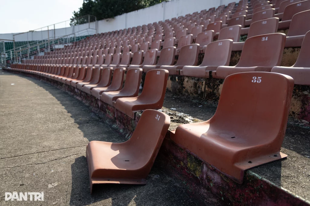 svdthongnhattphcmkhoanguyen8 1774322956084