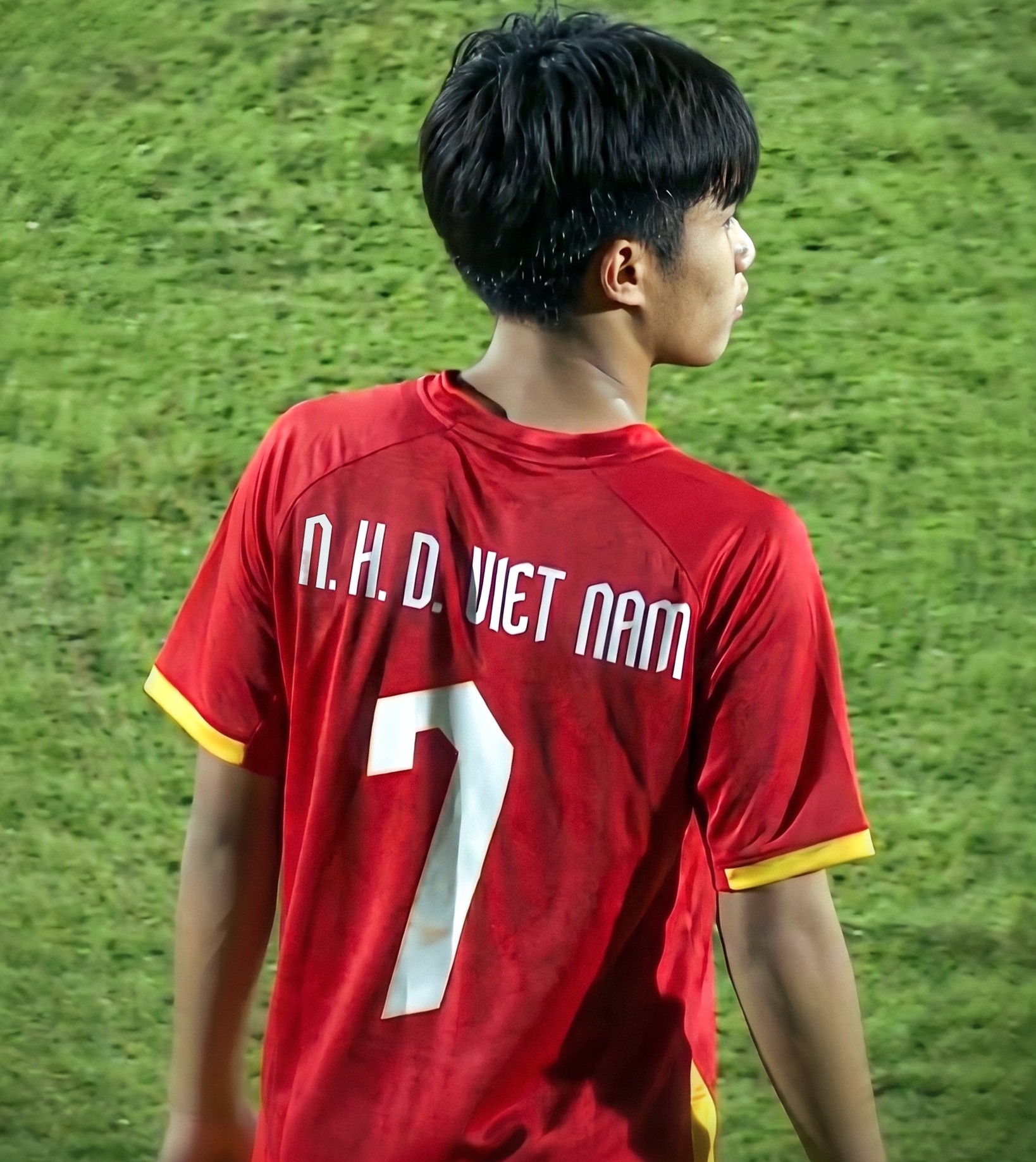 nguyen hiep dai viet nam