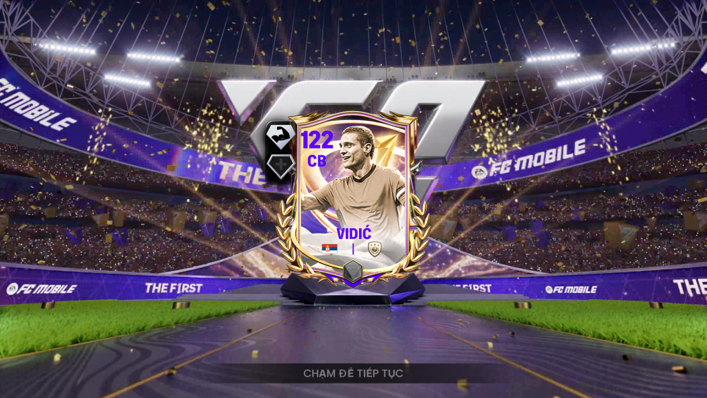 Anh ham Vidic